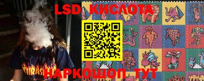 крисы Краснодар