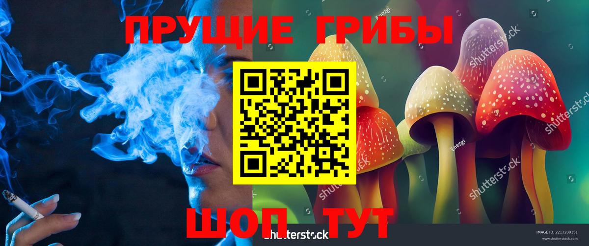 Коломна  Псилоцибиновые грибы мицелий  Вход с VPN 